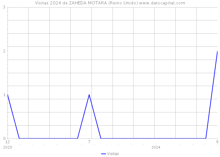 Visitas 2024 de ZAHEDA MOTARA (Reino Unido) 