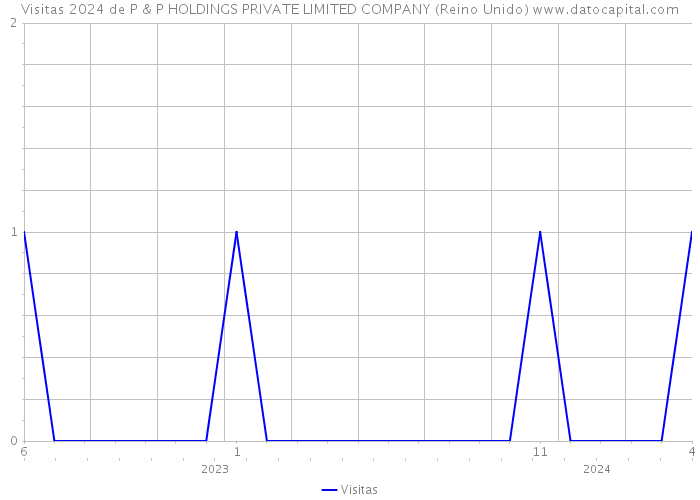 Visitas 2024 de P & P HOLDINGS PRIVATE LIMITED COMPANY (Reino Unido) 