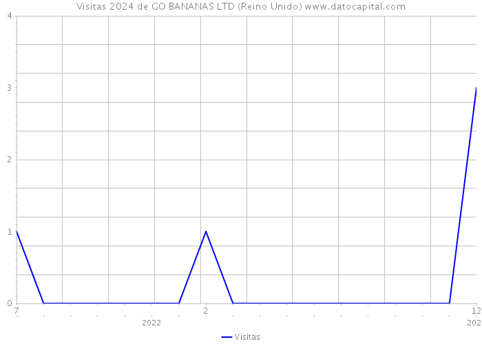 Visitas 2024 de GO BANANAS LTD (Reino Unido) 