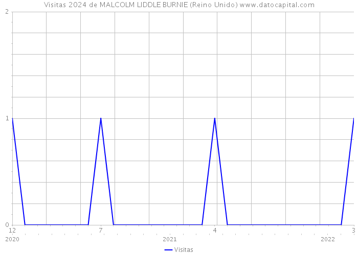 Visitas 2024 de MALCOLM LIDDLE BURNIE (Reino Unido) 