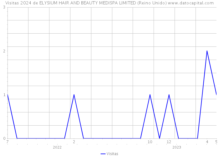 Visitas 2024 de ELYSIUM HAIR AND BEAUTY MEDISPA LIMITED (Reino Unido) 