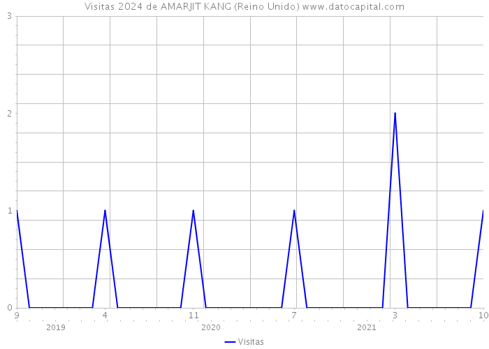 Visitas 2024 de AMARJIT KANG (Reino Unido) 