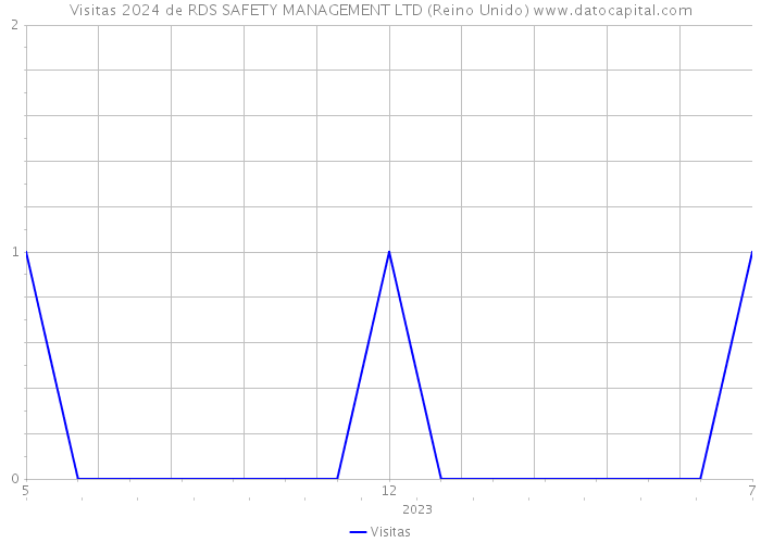 Visitas 2024 de RDS SAFETY MANAGEMENT LTD (Reino Unido) 