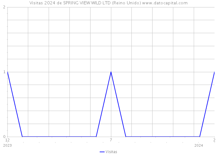 Visitas 2024 de SPRING VIEW WILD LTD (Reino Unido) 