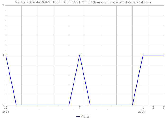 Visitas 2024 de ROAST BEEF HOLDINGS LIMITED (Reino Unido) 