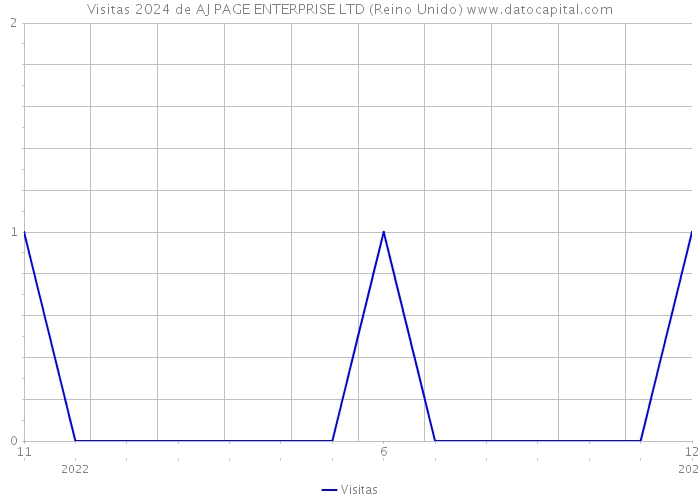 Visitas 2024 de AJ PAGE ENTERPRISE LTD (Reino Unido) 