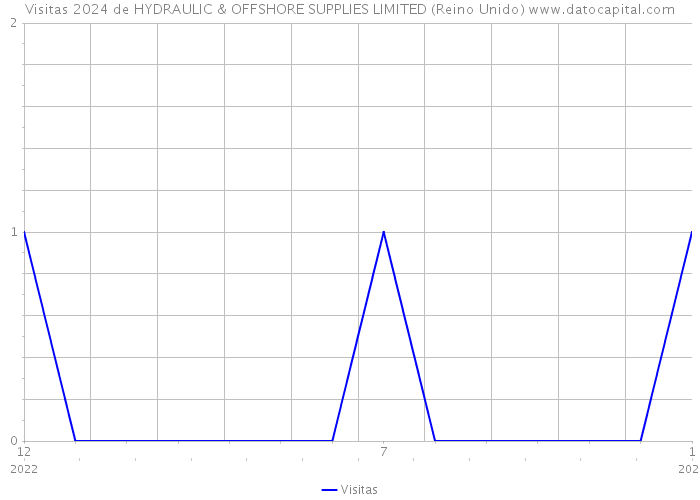 Visitas 2024 de HYDRAULIC & OFFSHORE SUPPLIES LIMITED (Reino Unido) 