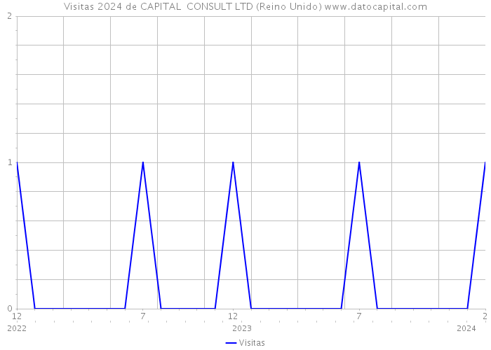 Visitas 2024 de CAPITAL CONSULT LTD (Reino Unido) 