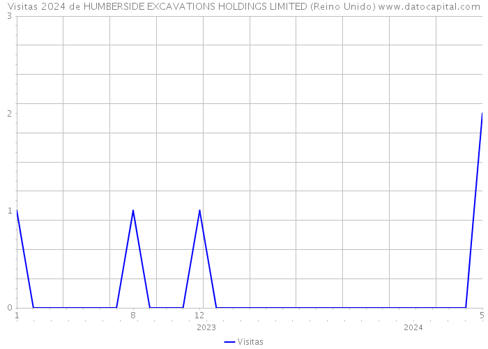 Visitas 2024 de HUMBERSIDE EXCAVATIONS HOLDINGS LIMITED (Reino Unido) 