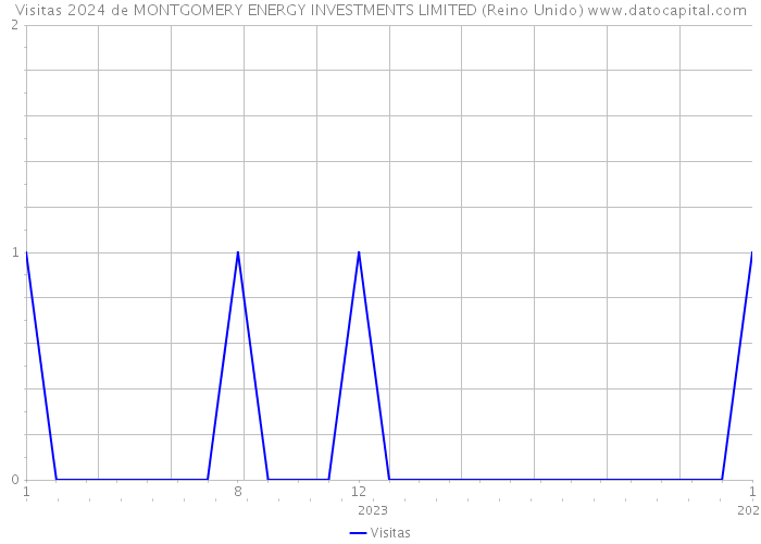 Visitas 2024 de MONTGOMERY ENERGY INVESTMENTS LIMITED (Reino Unido) 