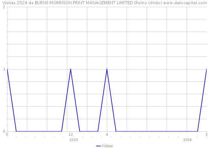 Visitas 2024 de BURNS MORRISON PRINT MANAGEMENT LIMITED (Reino Unido) 