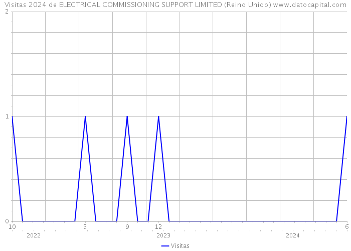 Visitas 2024 de ELECTRICAL COMMISSIONING SUPPORT LIMITED (Reino Unido) 