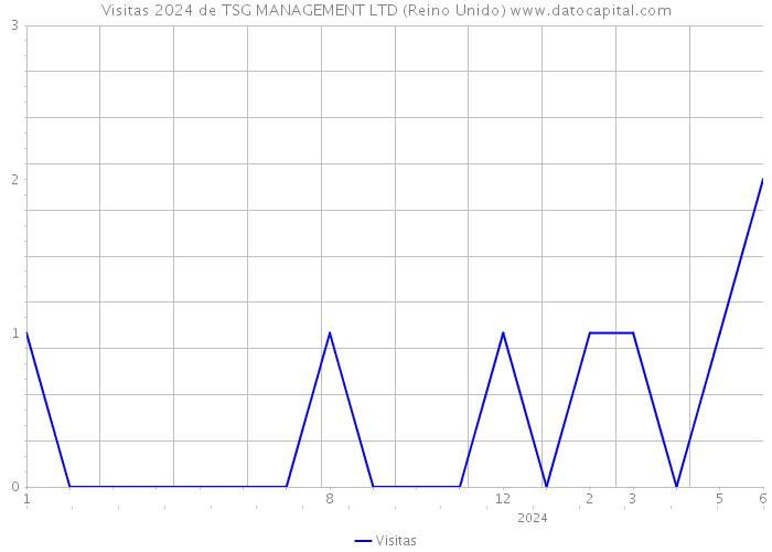 Visitas 2024 de TSG MANAGEMENT LTD (Reino Unido) 