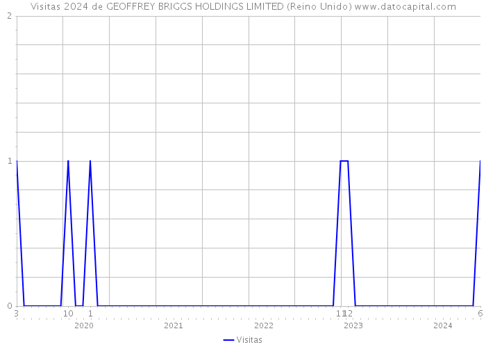 Visitas 2024 de GEOFFREY BRIGGS HOLDINGS LIMITED (Reino Unido) 