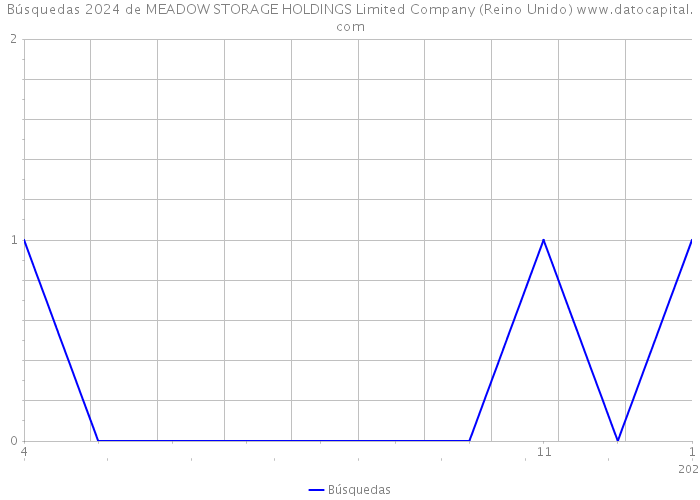 Búsquedas 2024 de MEADOW STORAGE HOLDINGS Limited Company (Reino Unido) 
