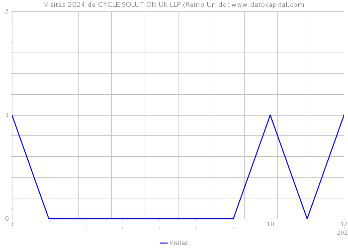 Visitas 2024 de CYCLE SOLUTION UK LLP (Reino Unido) 