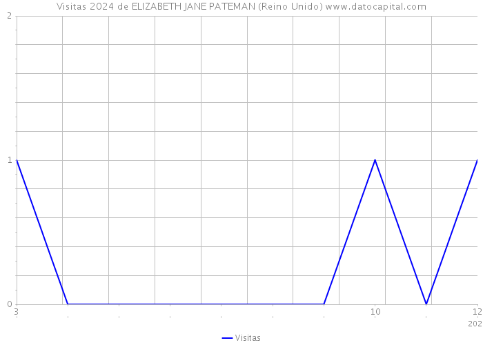 Visitas 2024 de ELIZABETH JANE PATEMAN (Reino Unido) 