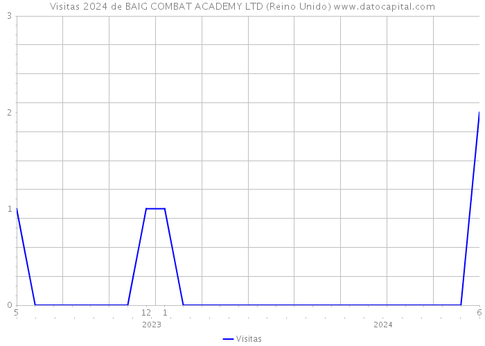 Visitas 2024 de BAIG COMBAT ACADEMY LTD (Reino Unido) 