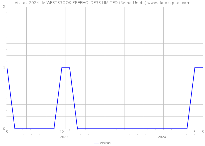 Visitas 2024 de WESTBROOK FREEHOLDERS LIMITED (Reino Unido) 