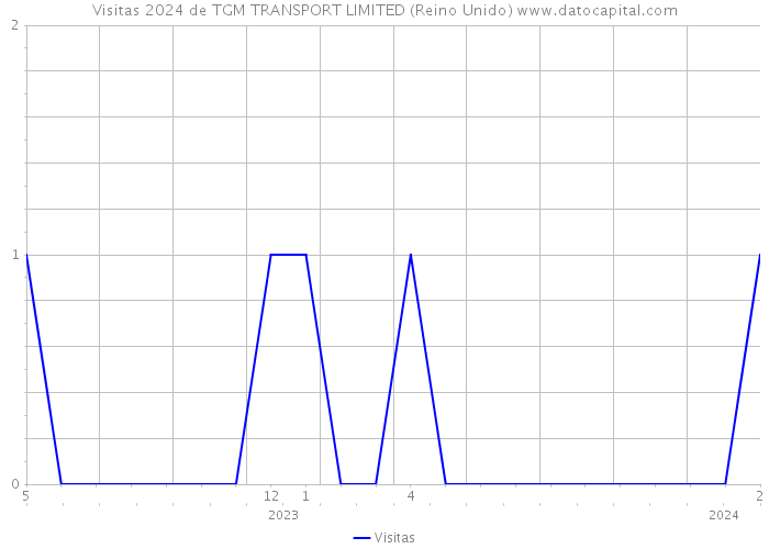 Visitas 2024 de TGM TRANSPORT LIMITED (Reino Unido) 