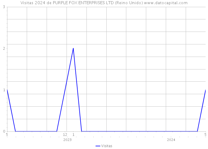 Visitas 2024 de PURPLE FOX ENTERPRISES LTD (Reino Unido) 