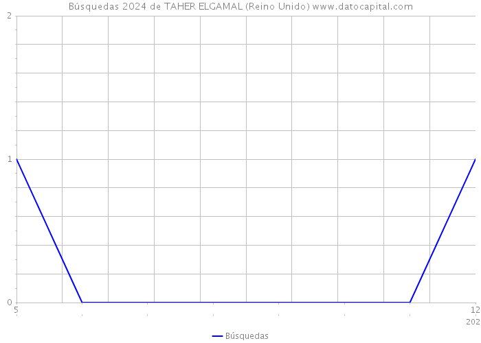 Búsquedas 2024 de TAHER ELGAMAL (Reino Unido) 