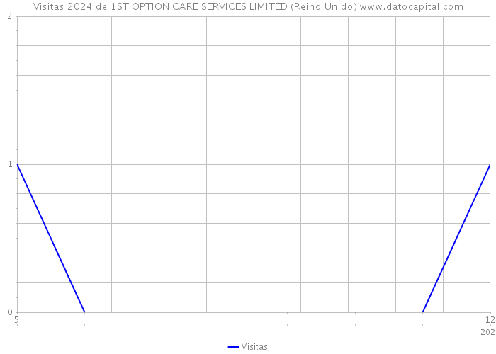 Visitas 2024 de 1ST OPTION CARE SERVICES LIMITED (Reino Unido) 