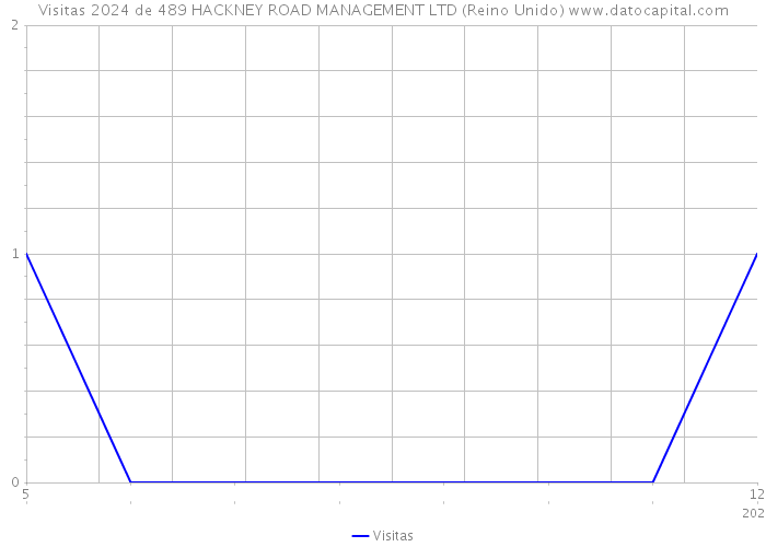 Visitas 2024 de 489 HACKNEY ROAD MANAGEMENT LTD (Reino Unido) 