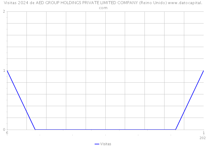 Visitas 2024 de AED GROUP HOLDINGS PRIVATE LIMITED COMPANY (Reino Unido) 