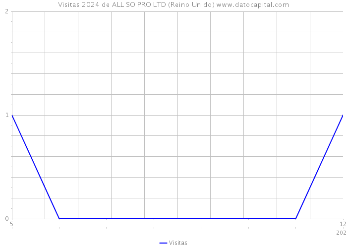 Visitas 2024 de ALL SO PRO LTD (Reino Unido) 