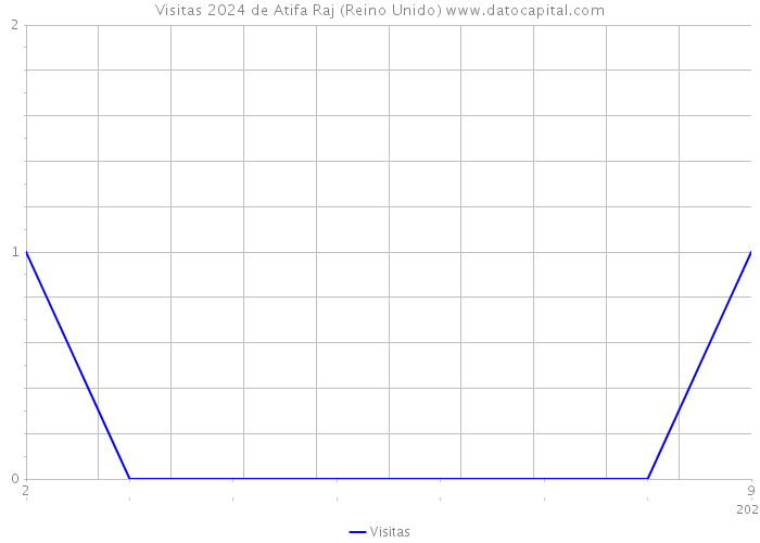 Visitas 2024 de Atifa Raj (Reino Unido) 