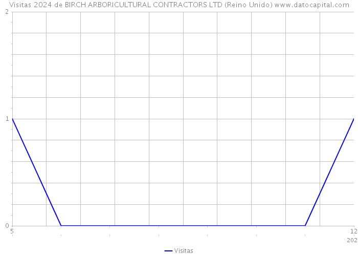 Visitas 2024 de BIRCH ARBORICULTURAL CONTRACTORS LTD (Reino Unido) 