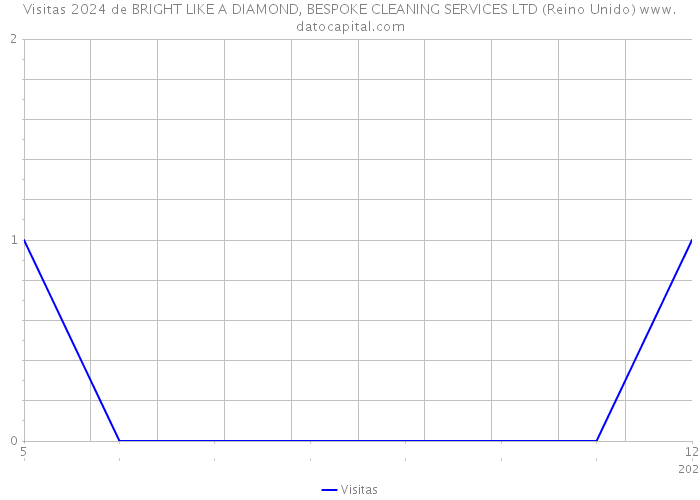 Visitas 2024 de BRIGHT LIKE A DIAMOND, BESPOKE CLEANING SERVICES LTD (Reino Unido) 