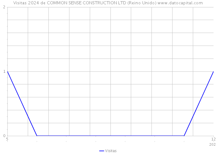 Visitas 2024 de COMMON SENSE CONSTRUCTION LTD (Reino Unido) 