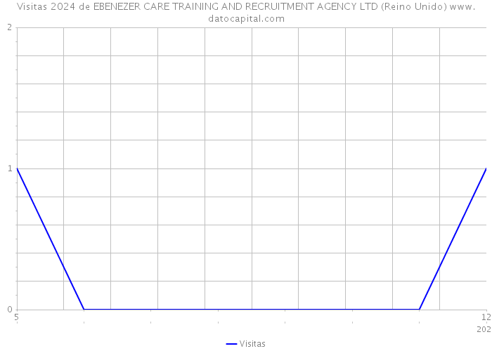 Visitas 2024 de EBENEZER CARE TRAINING AND RECRUITMENT AGENCY LTD (Reino Unido) 