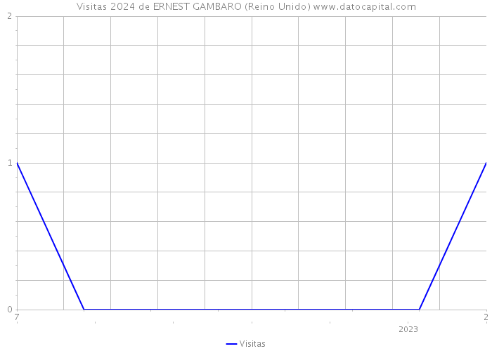 Visitas 2024 de ERNEST GAMBARO (Reino Unido) 