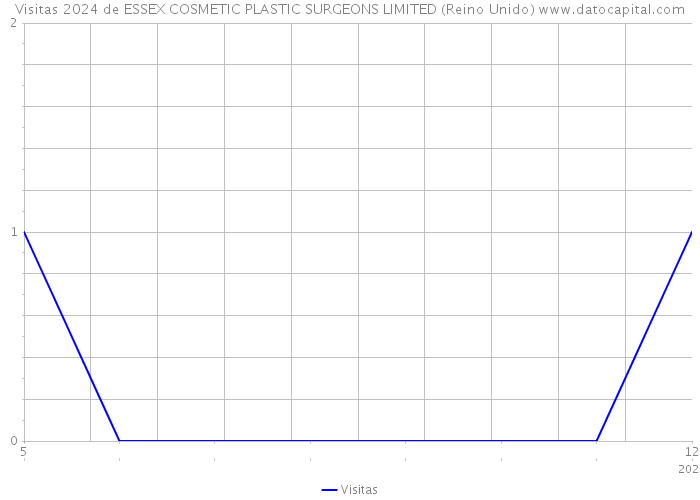 Visitas 2024 de ESSEX COSMETIC PLASTIC SURGEONS LIMITED (Reino Unido) 
