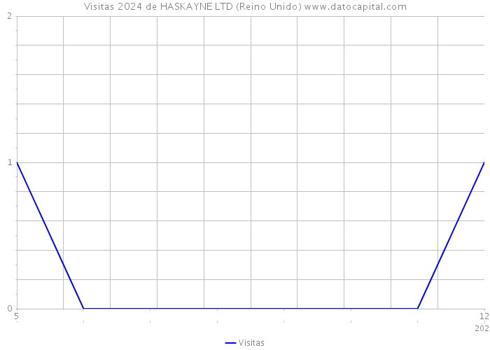 Visitas 2024 de HASKAYNE LTD (Reino Unido) 