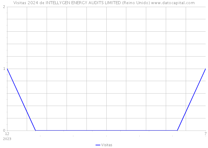 Visitas 2024 de INTELLYGEN ENERGY AUDITS LIMITED (Reino Unido) 