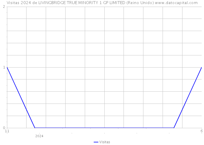 Visitas 2024 de LIVINGBRIDGE TRUE MINORITY 1 GP LIMITED (Reino Unido) 