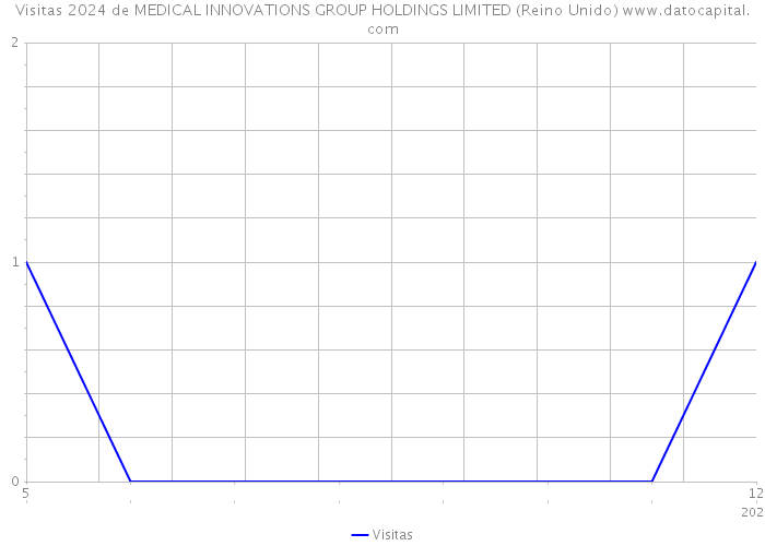 Visitas 2024 de MEDICAL INNOVATIONS GROUP HOLDINGS LIMITED (Reino Unido) 