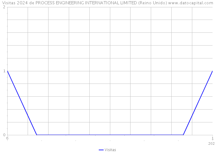 Visitas 2024 de PROCESS ENGINEERING INTERNATIONAL LIMITED (Reino Unido) 