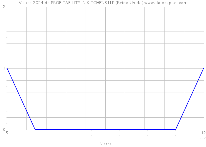 Visitas 2024 de PROFITABILITY IN KITCHENS LLP (Reino Unido) 