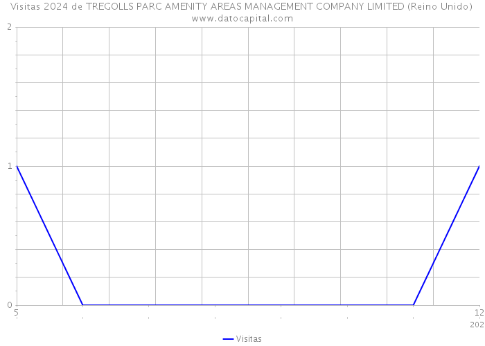 Visitas 2024 de TREGOLLS PARC AMENITY AREAS MANAGEMENT COMPANY LIMITED (Reino Unido) 