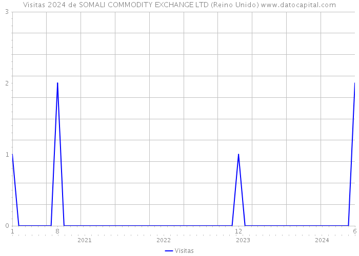 Visitas 2024 de SOMALI COMMODITY EXCHANGE LTD (Reino Unido) 