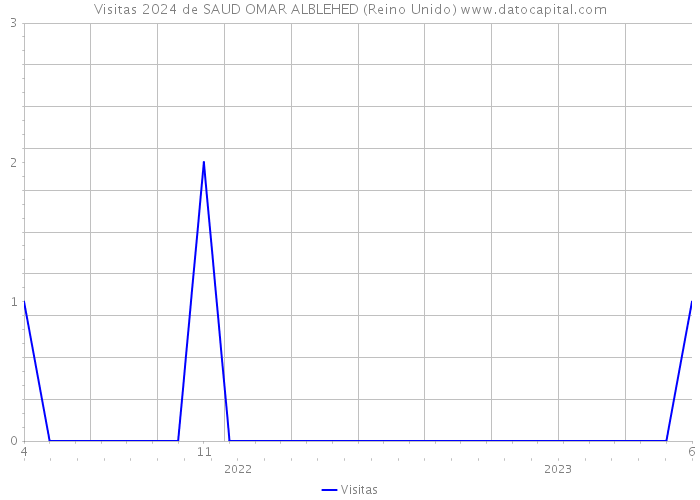 Visitas 2024 de SAUD OMAR ALBLEHED (Reino Unido) 