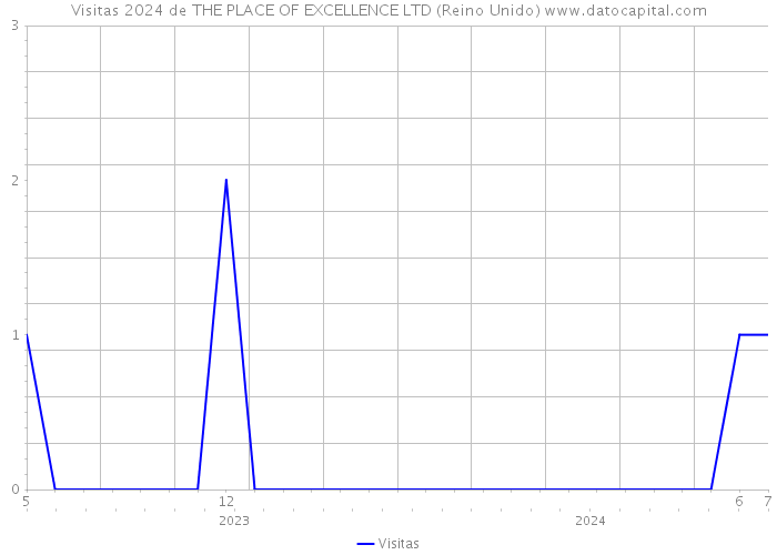 Visitas 2024 de THE PLACE OF EXCELLENCE LTD (Reino Unido) 