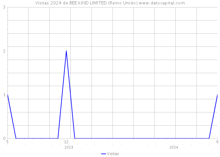 Visitas 2024 de BEE KIND LIMITED (Reino Unido) 