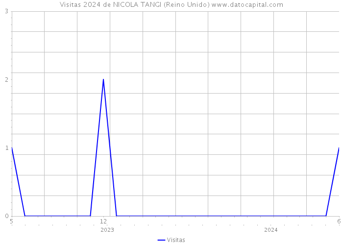 Visitas 2024 de NICOLA TANGI (Reino Unido) 