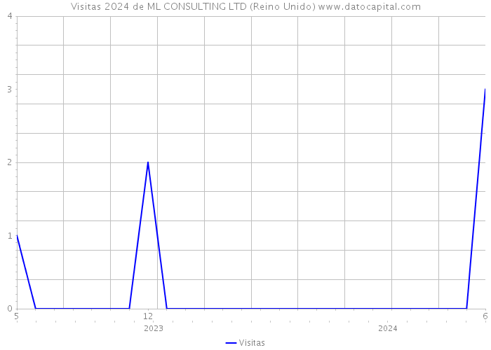 Visitas 2024 de ML CONSULTING LTD (Reino Unido) 